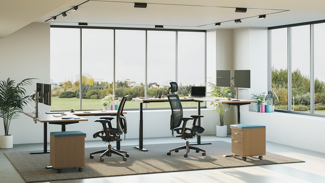 Photo of Format+ | High Back Weight Sensing Synchro-Tilter, Mesh Seat and Back, vue 1, available at Oburo in Montreal