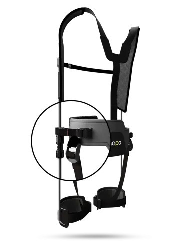 Photo of The Hapo Back image 1