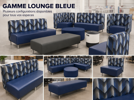 Photo of Seat Lounge Sofa, vue 1, available at Oburo in Montreal